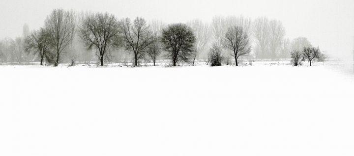 Innevati di enriconocito