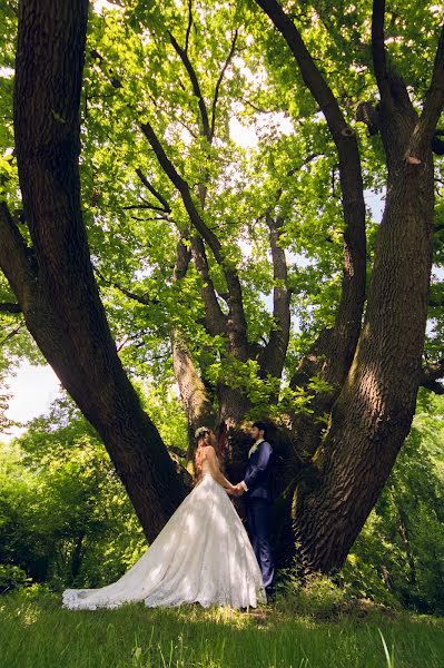 Fotógrafo de casamento Máté Mátrai (matematrai). Foto de 30 de agosto 2020