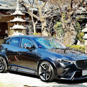 CX-3 DKEFW