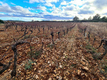 terrain à Murviel-lès-Béziers (34)