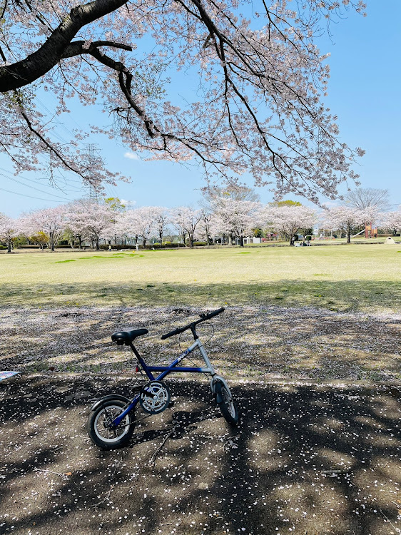 の投稿画像6枚目