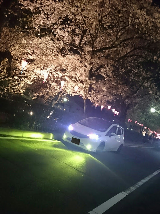 ノートのドライブ・夜桜コラボに関するカスタム事例の投稿画像1枚目