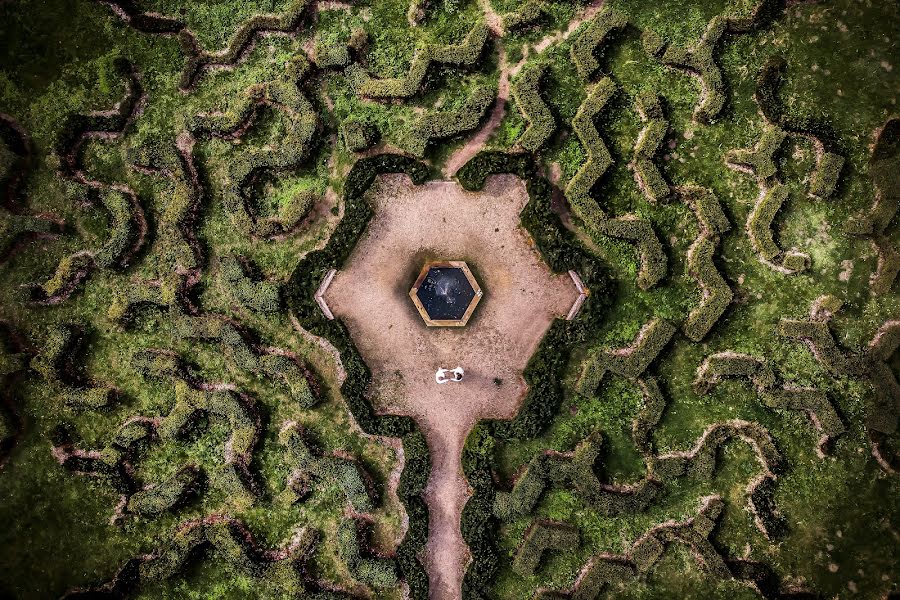 Photographe de mariage Danas Rugin (danas). Photo du 31 août 2019