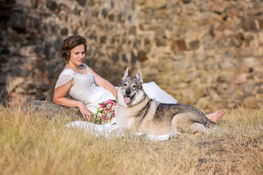 Wedding photographer Martin Janeček (martinjanecek). Photo of 30 May 2016