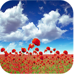 Cover Image of Unduh 1023 Flowers Live Wallpapers 6.8 APK