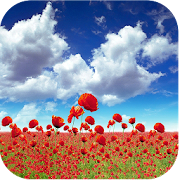 1023 Flowers Live Wallpapers  Icon