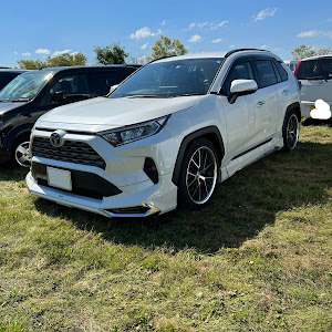 RAV4 MXAA54