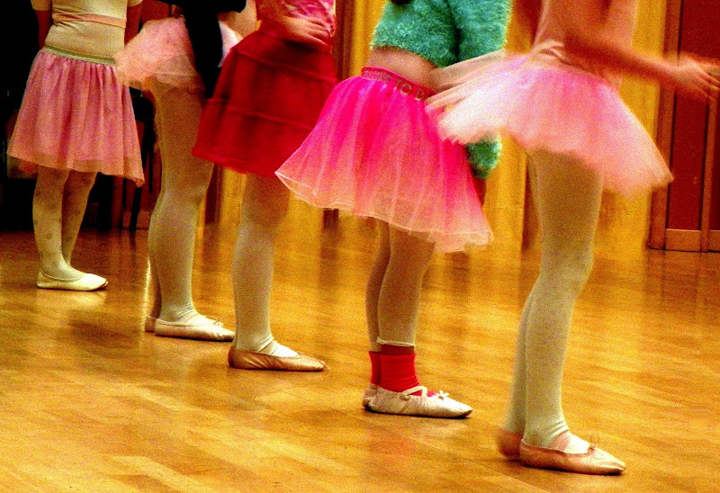 PINK BALLET di mariateresacupani