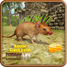 Mouse Simulator - Forest Life icon