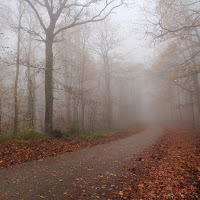 autunno nebbioso di 