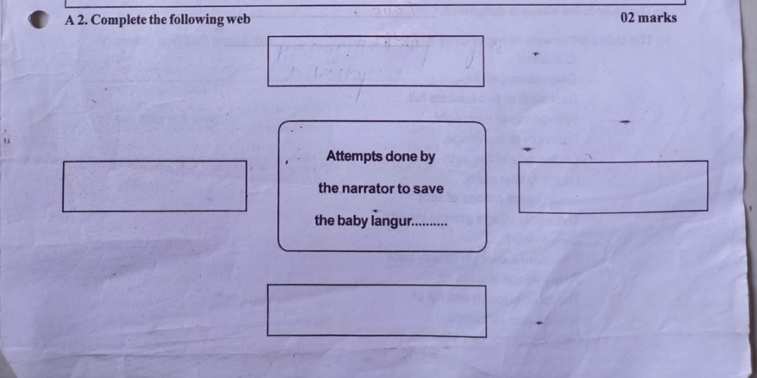 Unit Test Std 10 English