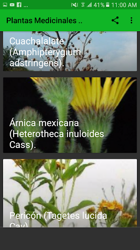 Plantas Medicinales y sus Beneficios