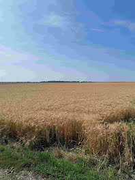 terrain à Villedoux (17)