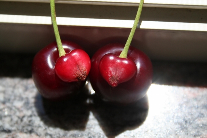 Sboccia con naturalezza di Donatella