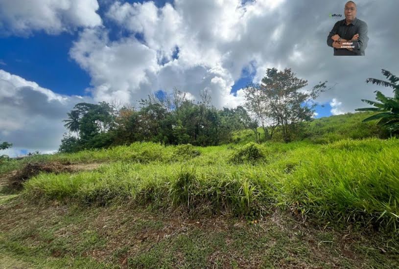  Vente Terrain à bâtir - à Le Robert (97231) 