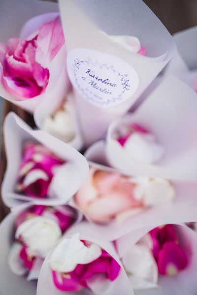 Fotógrafo de bodas Tereza Heinich (terezaheinich). Foto del 26 de marzo 2020