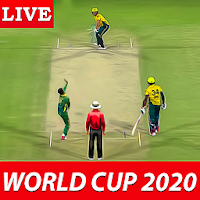 Live Cricket World Cup  Cricket Game