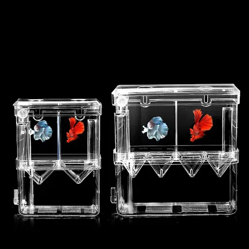 Acrylic Fish Breeder Box Breeding Isolation Box Fish Hatchery Divider Shrimp Clownfish Aggressive Fish Prevent Injured A