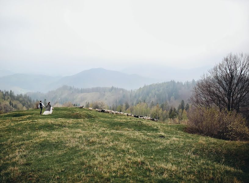 Svadobný fotograf Anastasiya Sumskaya (symskaia04). Fotografia publikovaná 8. februára 2019