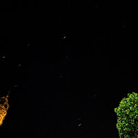 cielo stellato, campanile e albero. di 