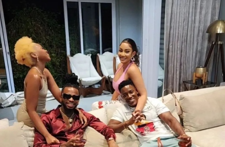 Zari, Shakib, Diamond and Zuchu hang out