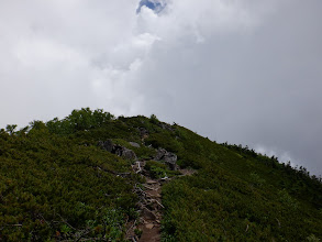 三ツ頭山頂はこの奥