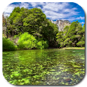 River Video Live Wallpaper