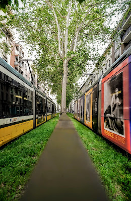 Tram tram quotidiano di piccio_ne_ph