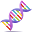 Genetic Helper Download on Windows