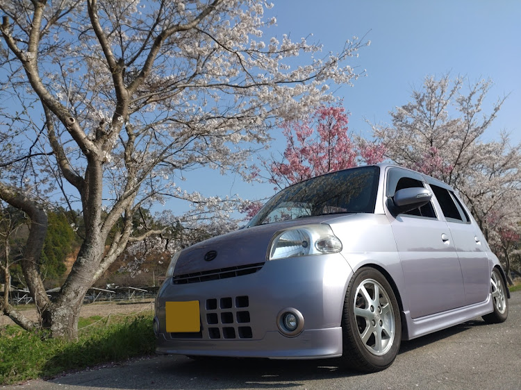 エッセのやっと修理から帰ってきた・桜の下でパシャリに関するカスタム事例の投稿画像1枚目