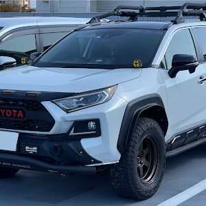 RAV4 AXAH54