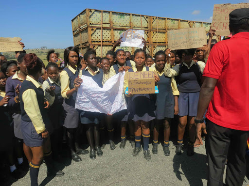 APPEALING: Pupils and parents block the R72 demanding scholar transport Picture: ZISANDA NKONKOBE