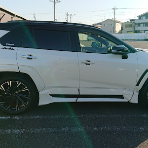 RAV4 MXAA54