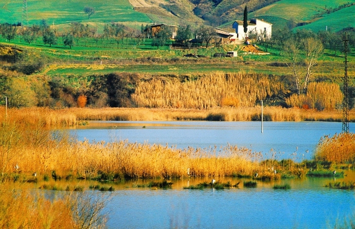 Un canneto o una città di aironi? di si