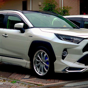 RAV4 AXAH54