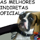 As melhores frases de indiretas - oficial Download on Windows