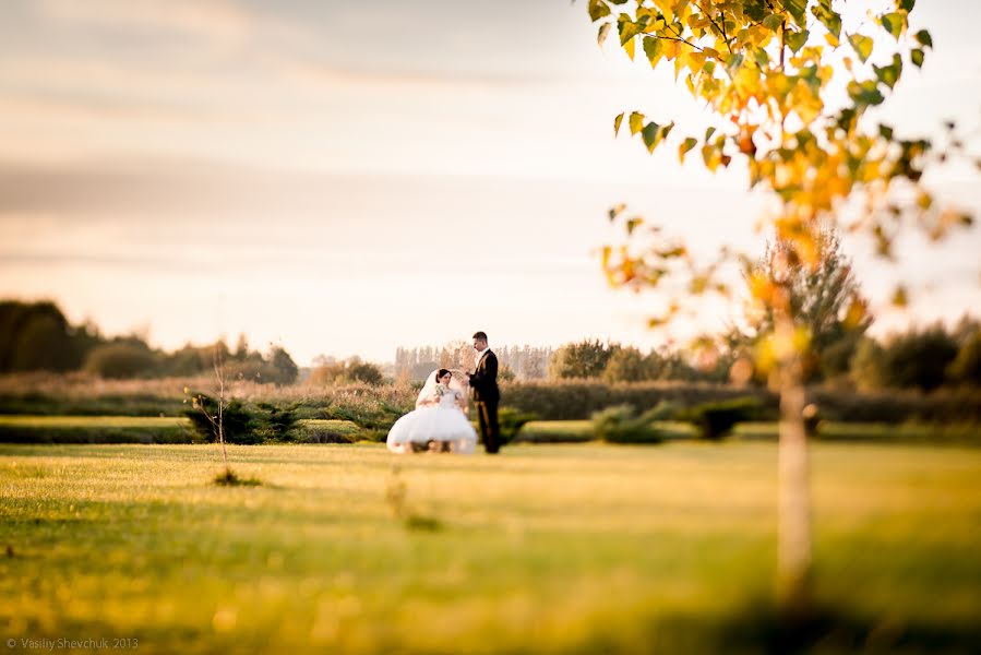 Fotógrafo de casamento Vasiliy Shevchuk (shevchuk). Foto de 14 de fevereiro 2014