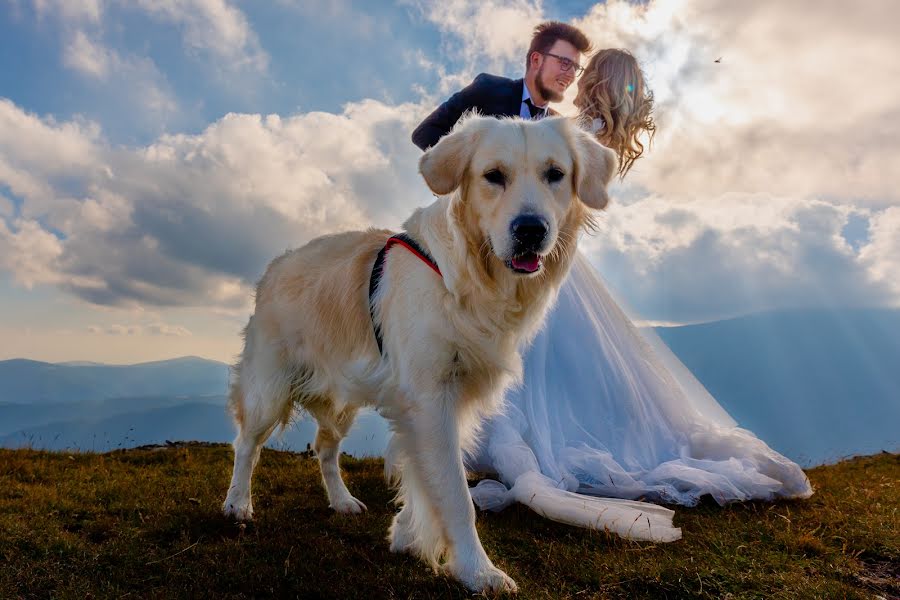 Fotografo di matrimoni Robert Dinica (robertdinica). Foto del 13 settembre 2023