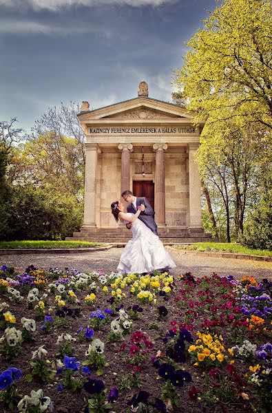 Fotografo di matrimoni László Szepessy (szepessylaszlo). Foto del 12 febbraio 2020