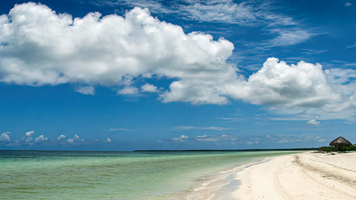 Mare Caraibico di Nevio Saule