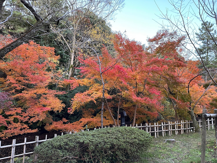 の投稿画像7枚目