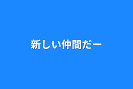 新しい仲間だー