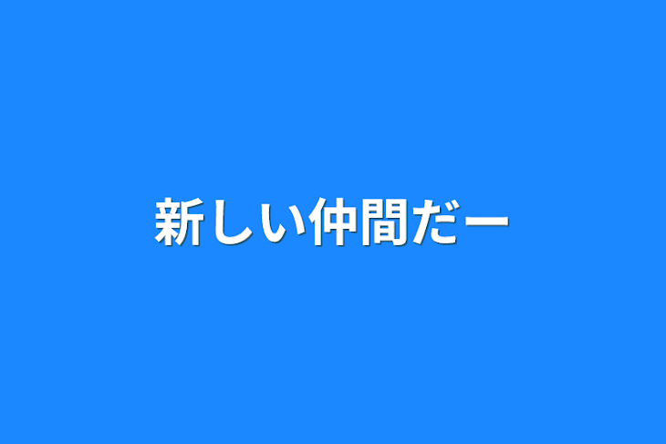 「新しい仲間だー」のメインビジュアル