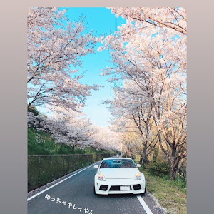 フェアレディZ Z33