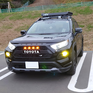 RAV4 MXAA54