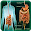 All Stomach Diseases and Treat Download on Windows