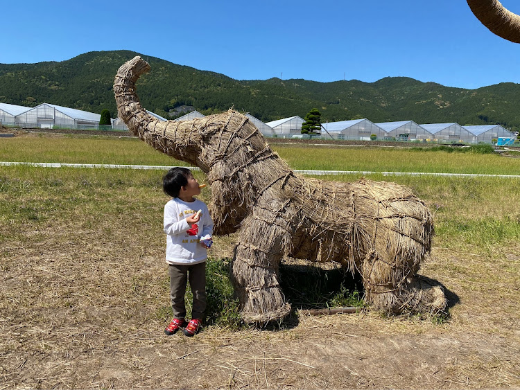 の投稿画像2枚目