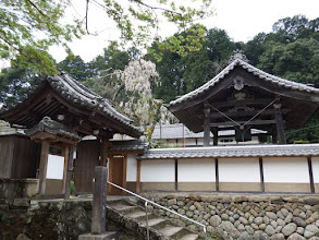 大野寺へ