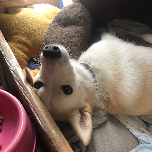 なべのプロフィール画像