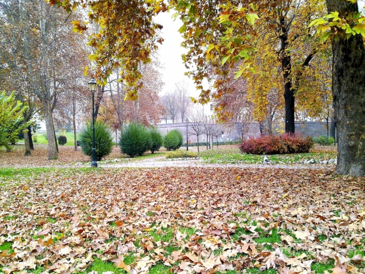 Autunno in città di Jor78